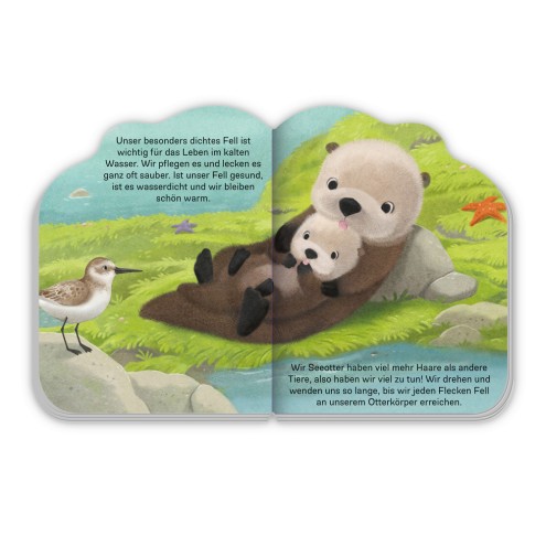 Der kleine Otter