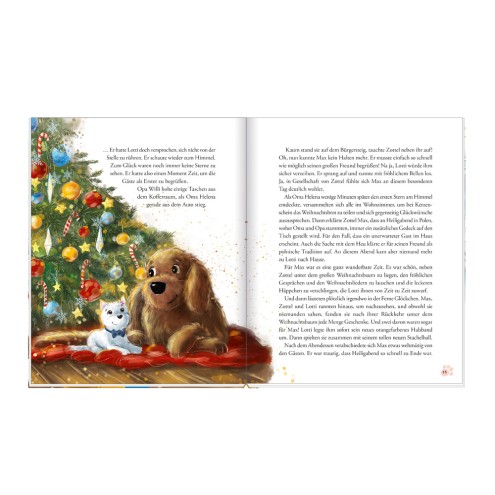 Geschichtenbuch Lotti, die kleine Tierärztin Ein Weihnachtsfest für alle